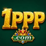 1PPP Game