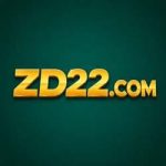 ZD22 Game